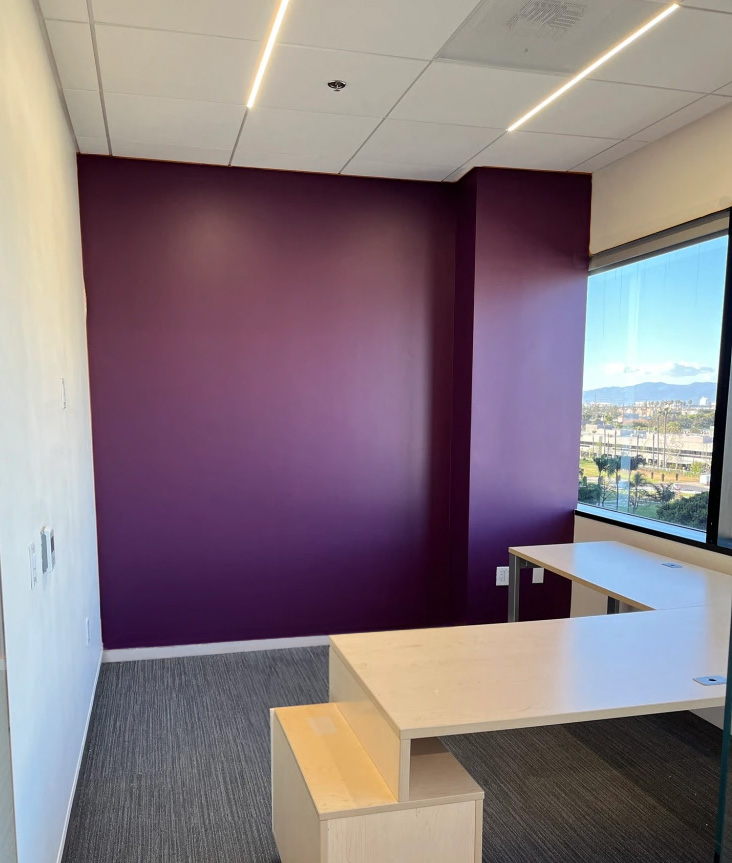 interior wall accent paint purple